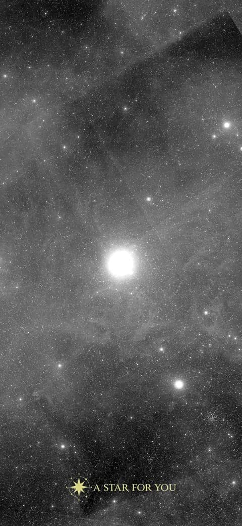 Sfondo per telefono: la fotografia DSS2 del cielo attorno alla stella, in verticale.